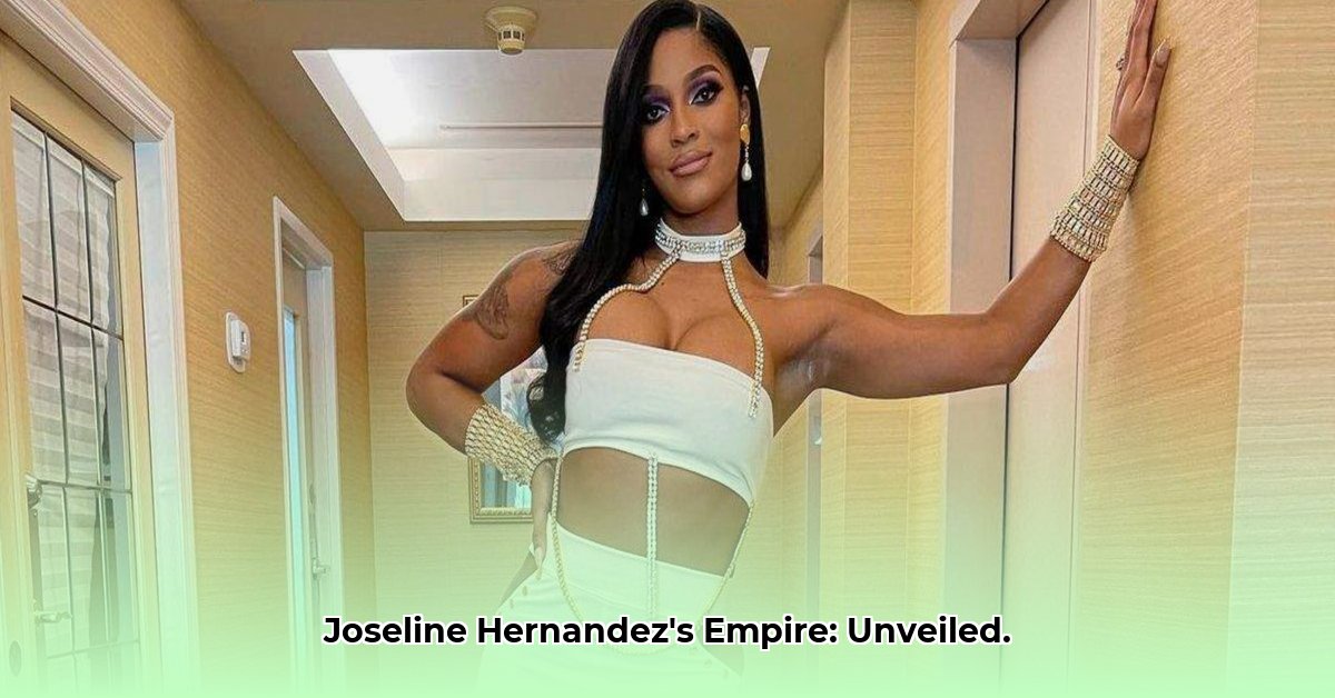 joseline-hernandez-net-worth
